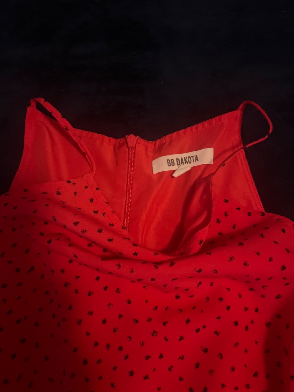 Red Dress - Picture 5 of 11
